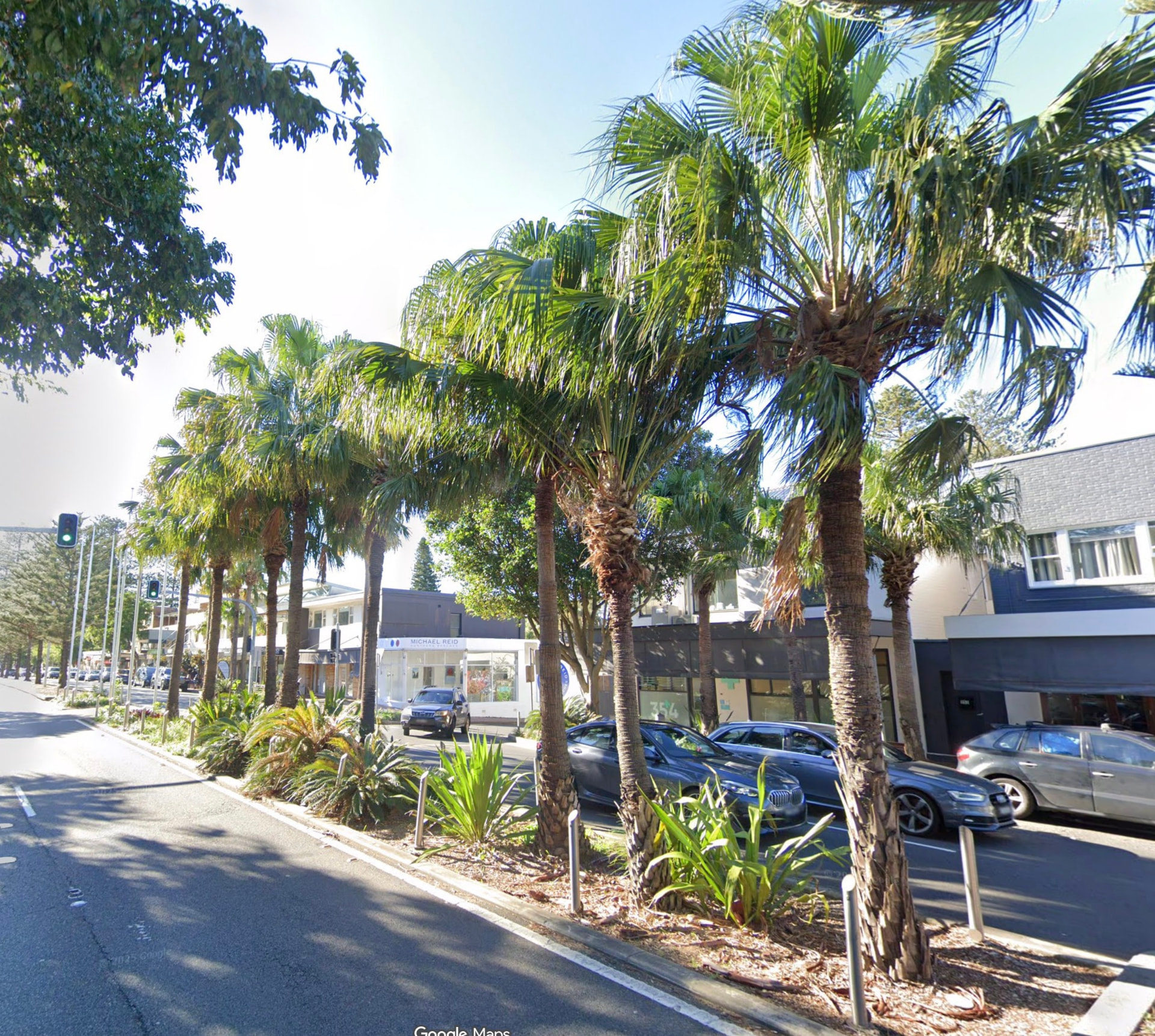 Palm-lined median along Barrenjoey Road in Newport Village, Newport NSW