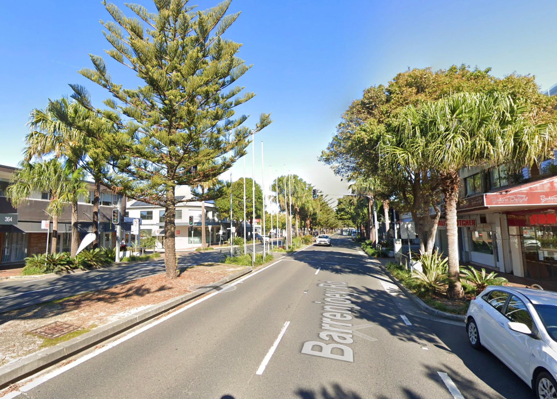 Shops and Norfolk Island pines along Barrenjoey Road, Newport Village, Northern Beaches Sydney